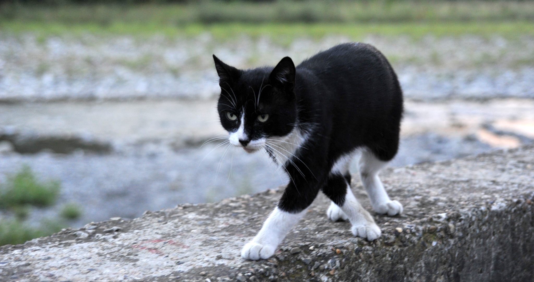 Россиян предупредили о штрафах за подглядывание за соседями 