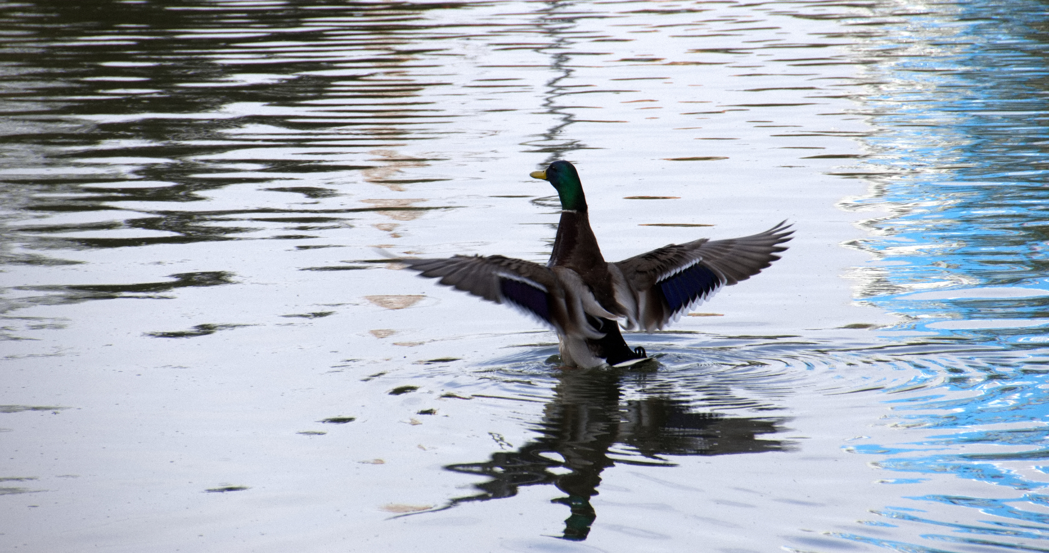 В Мордовии ожидается туман и до +12°С 