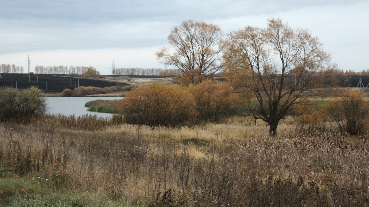 В Мордовии «Водоканал+» заплатит за загрязнение реки сточными водами
