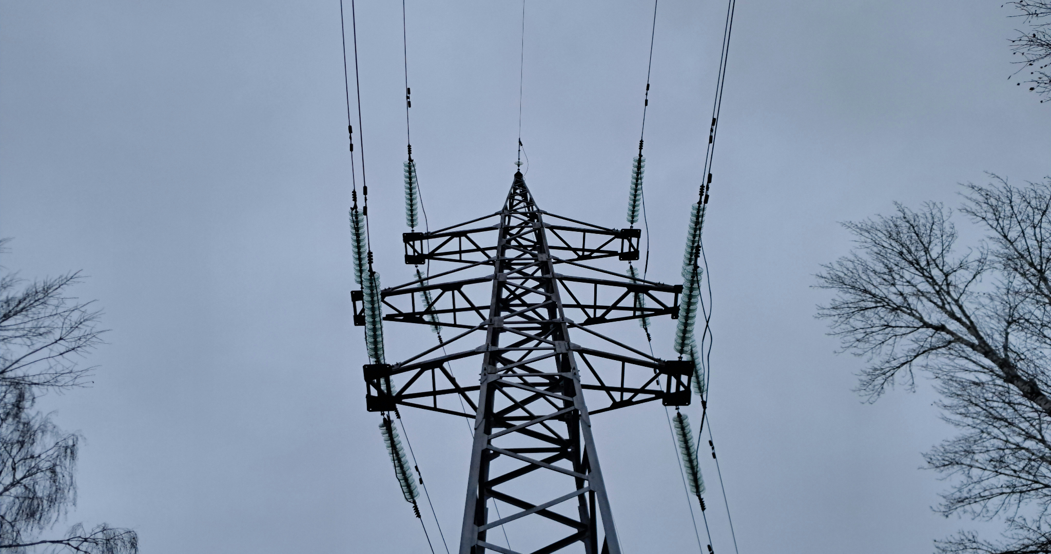 Сельчан в Мордовии предупредили об отключении электричества 