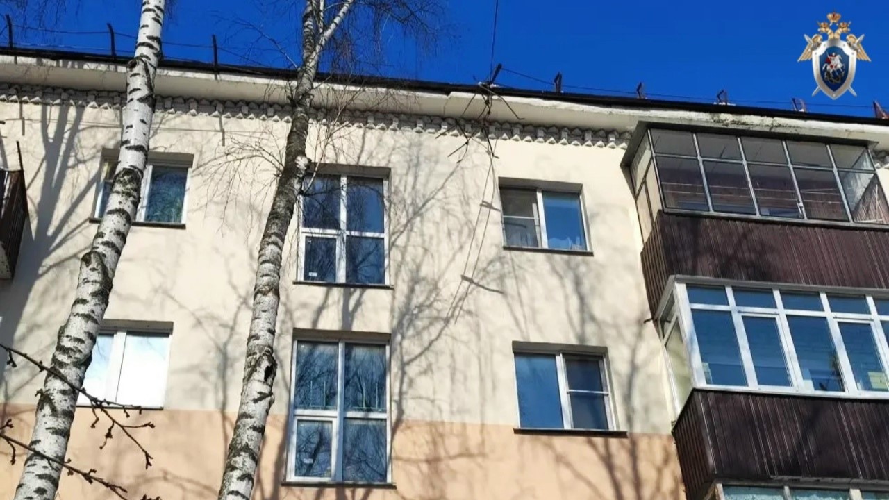 В Саранске обстоятельства гибели женщины под снежной глыбой выясняет Следственный комитет