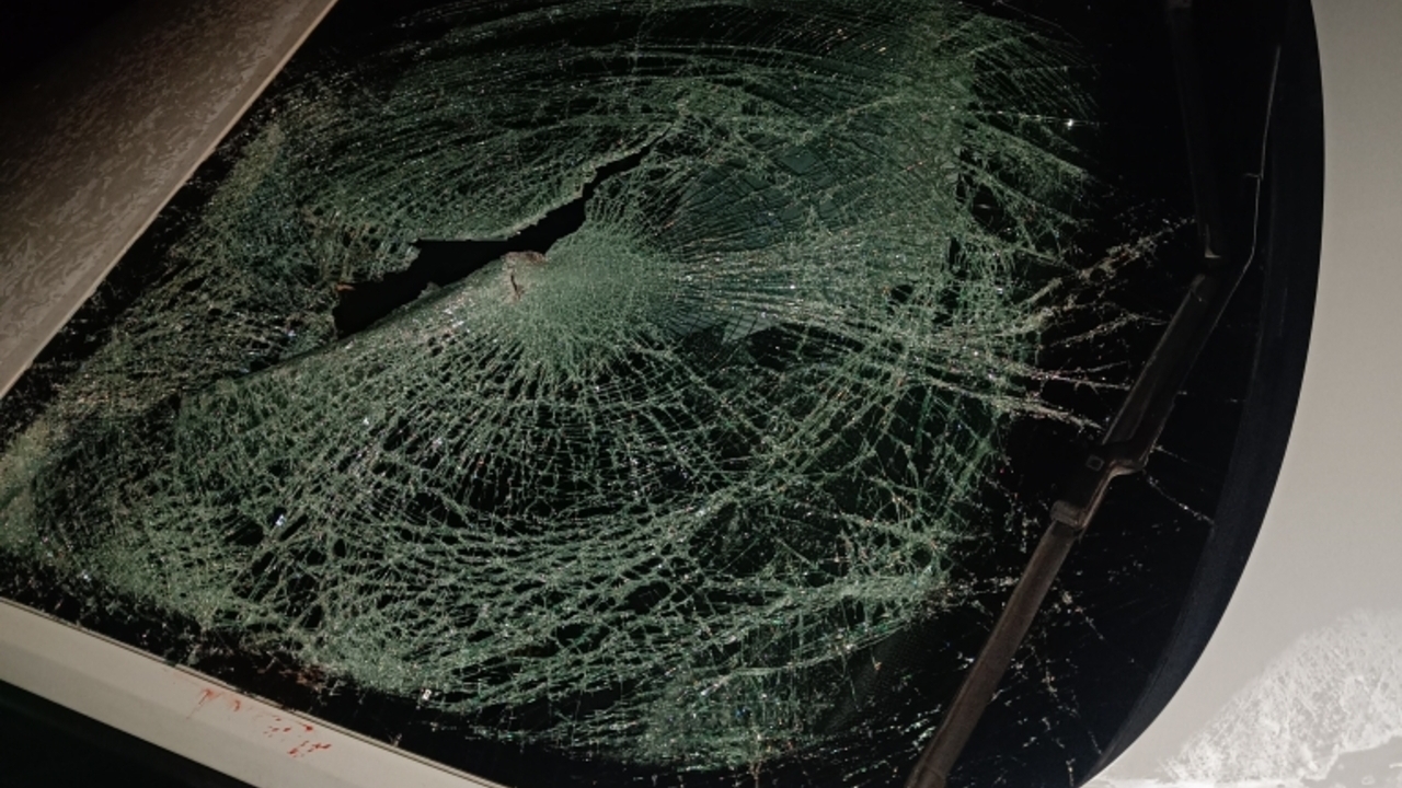 В Мордовии сбили бегущего ночью по трассе мужчину 