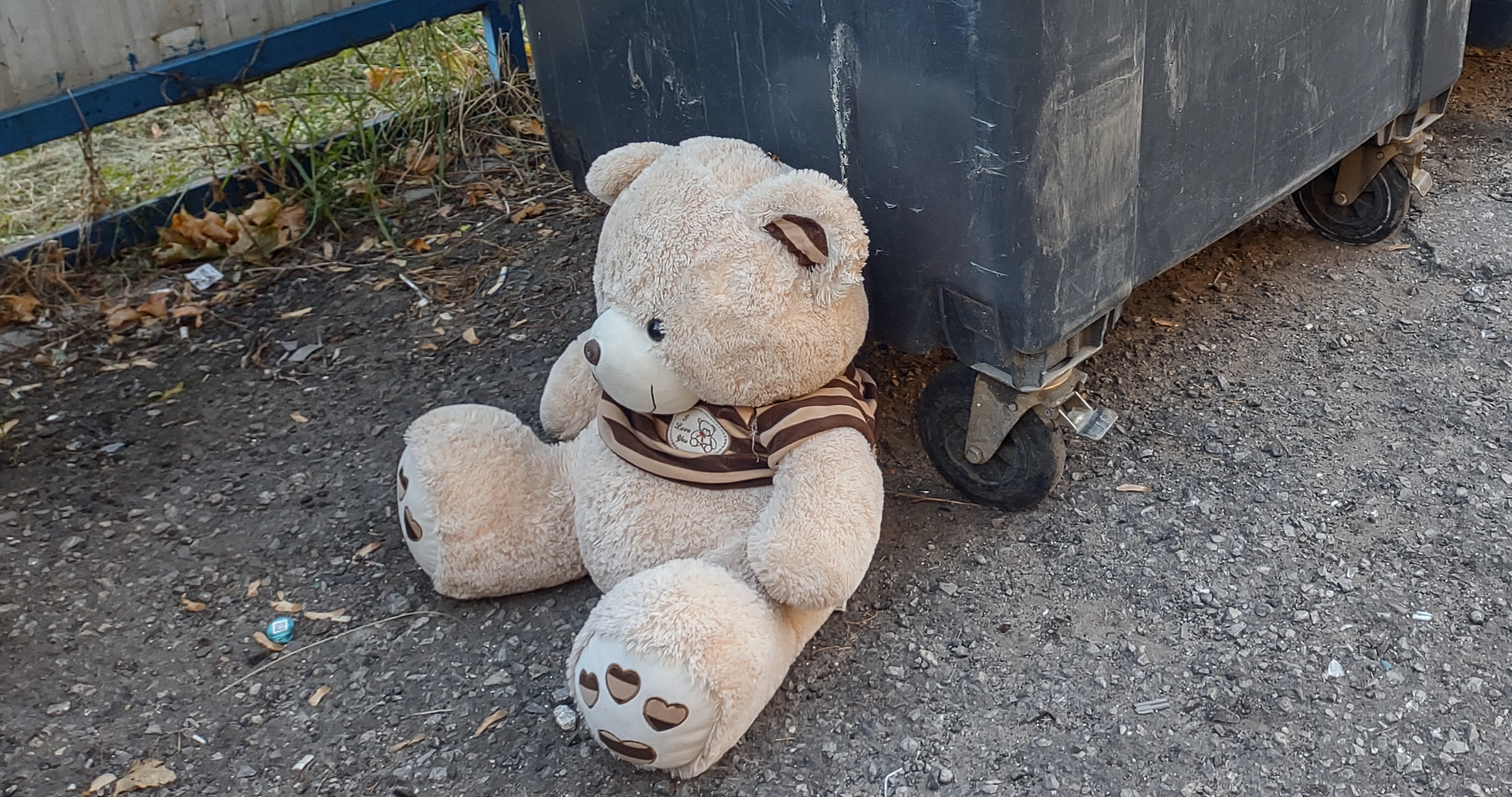 Мусорные площадки в Мордовии приведут в порядок по решению суда 