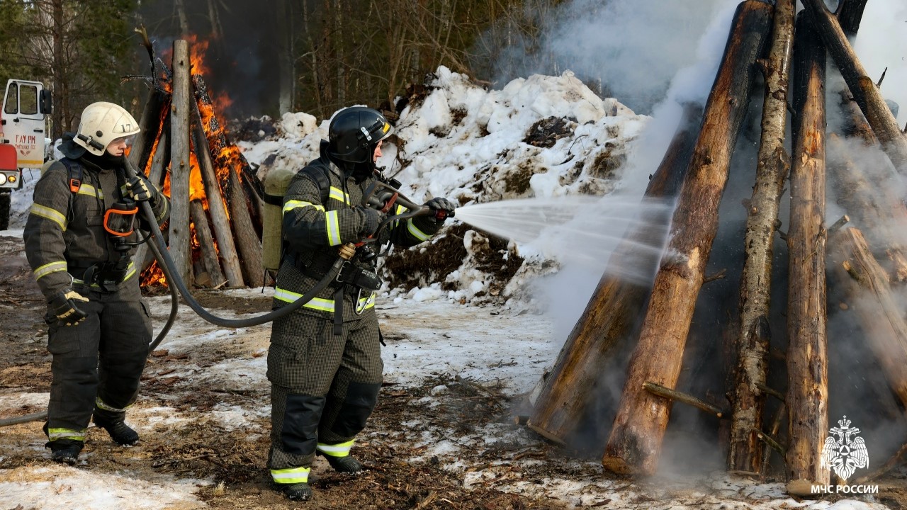 В Мордовии ликвидировали условный лесной пожар