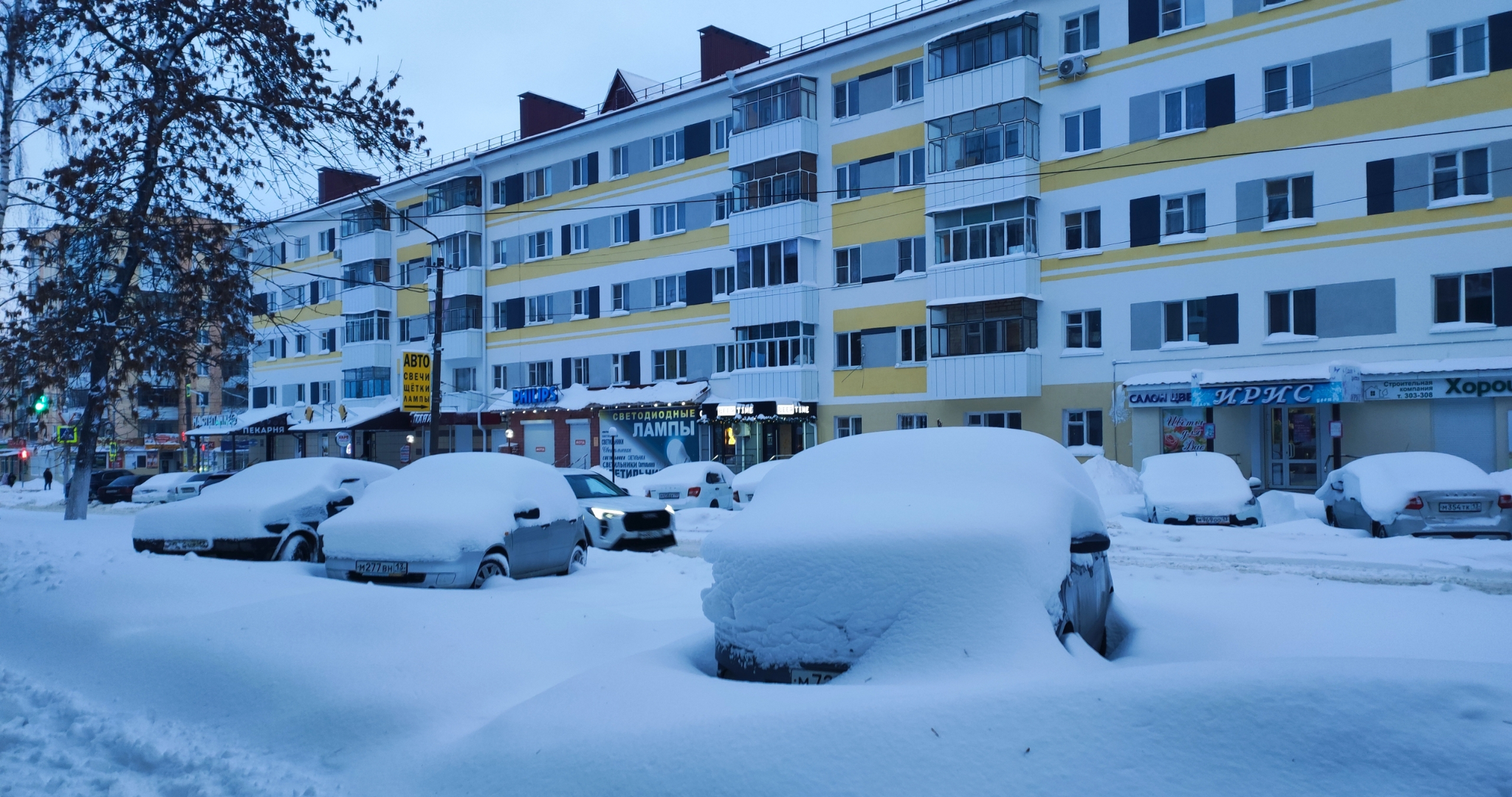 Мэр Саранска рассказал о ходе борьбы с последствиями снегопада 