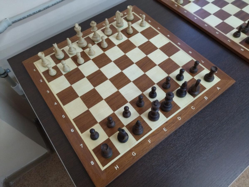 В Саранске пройдет детский шахматный турнир в гибридном формате