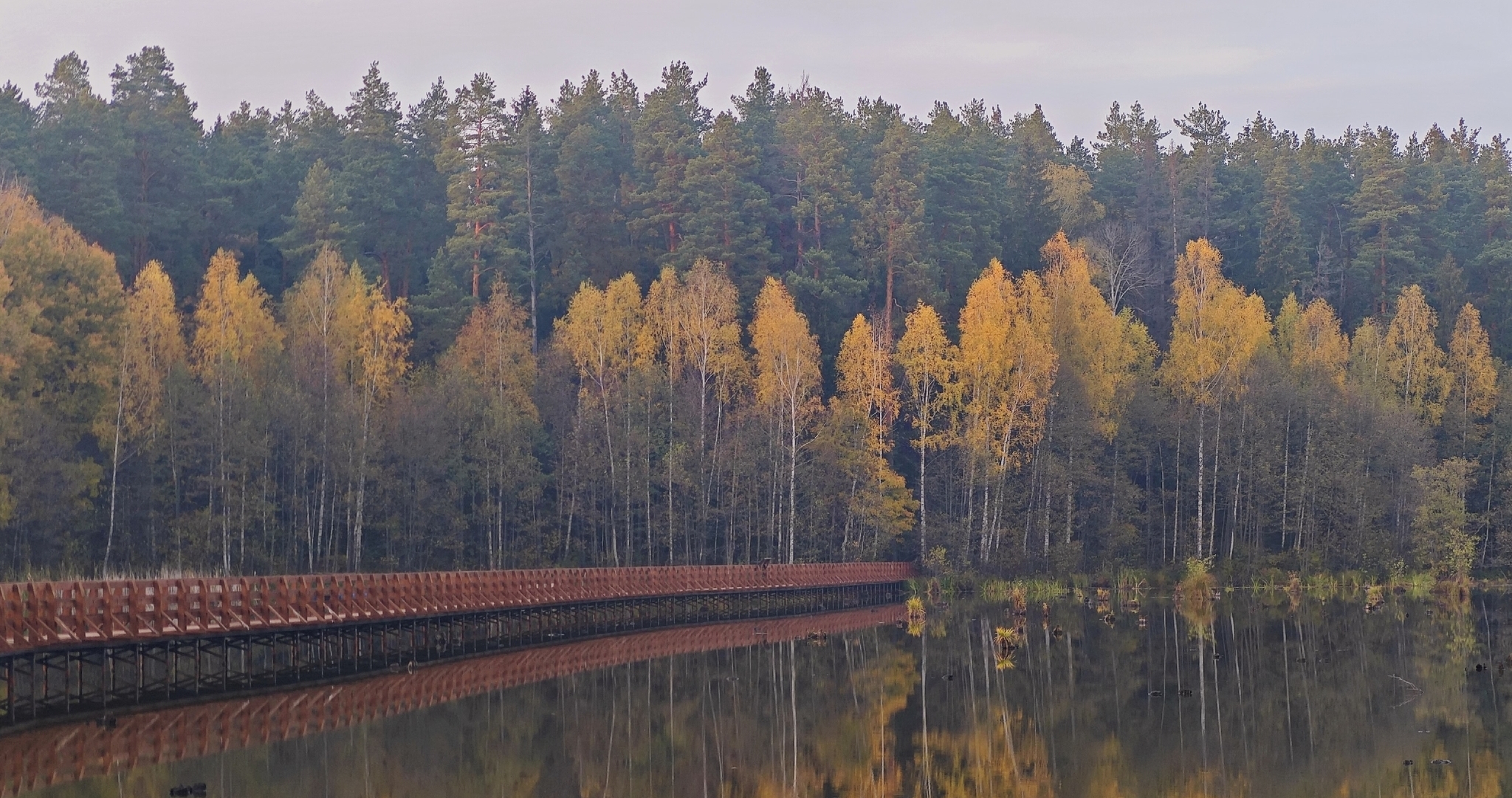 Экологические тропы в Мордовском заповеднике и «Смольном» закрылись 