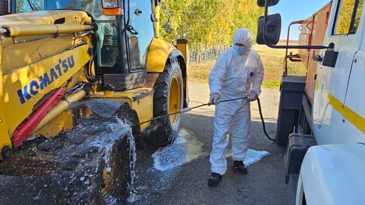 В Мордовии боролись с очагом африканской чумы свиней 