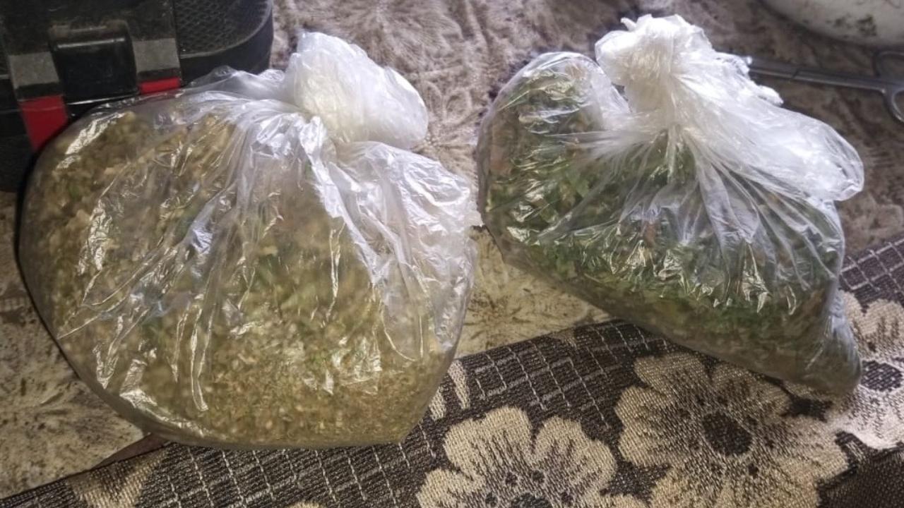 Транспортная полиция нашла у жителя Мордовии два пакета конопли