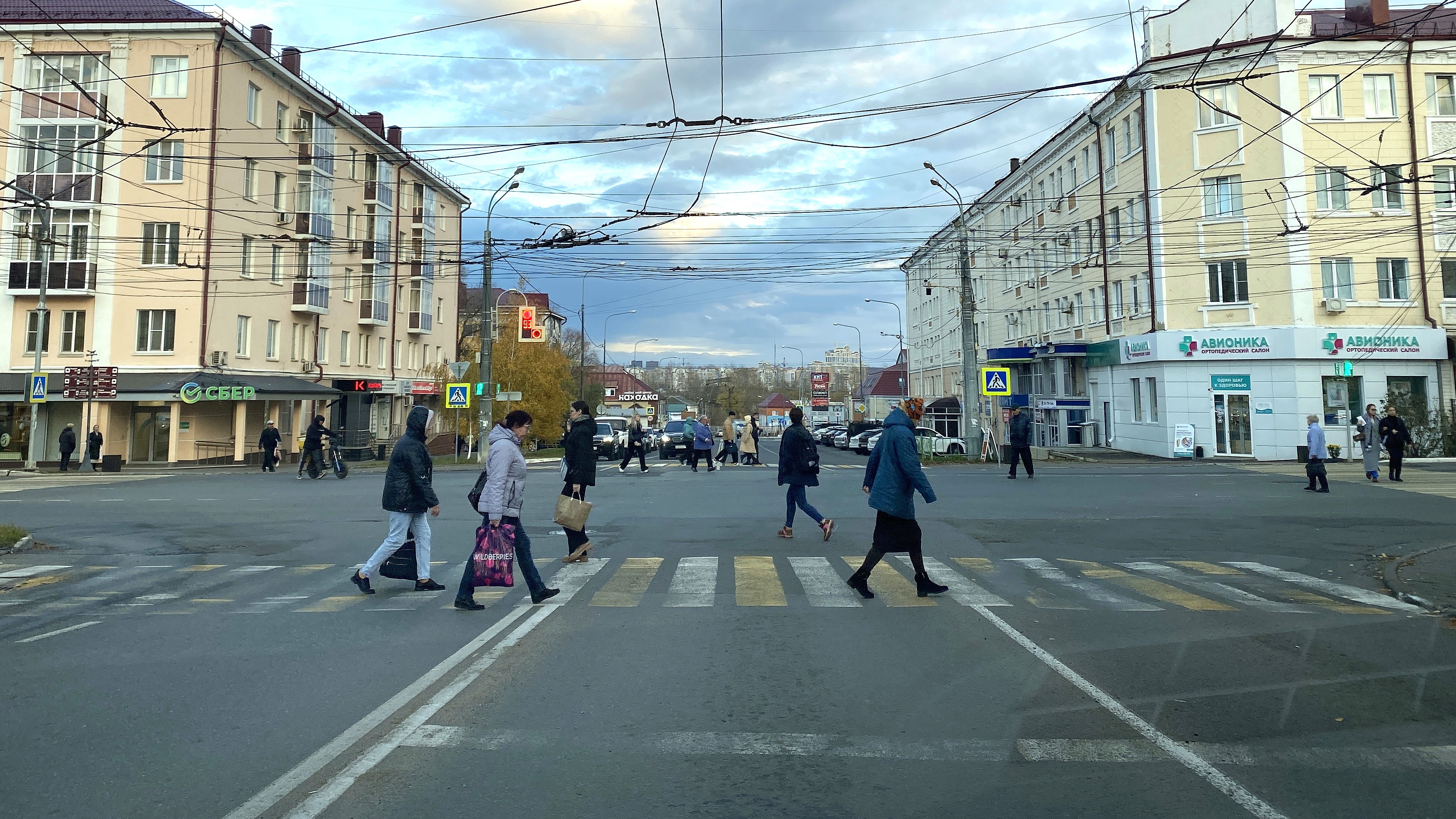 В Мордовии задержали более 30 пешеходов-нарушителей