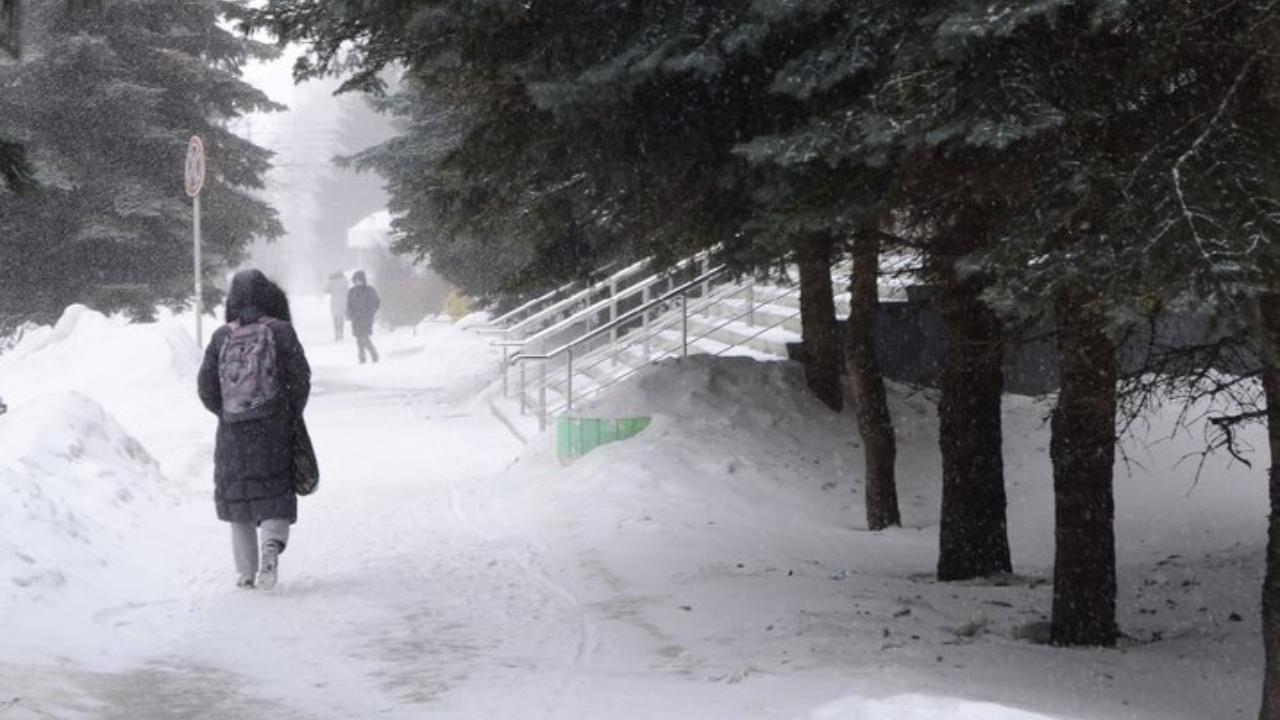 МЧС предупреждает: в Мордовии – опять метель и гололедица