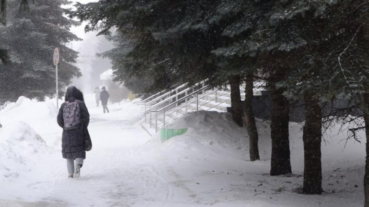 В Мордовии не прекращаются снегопад и метель