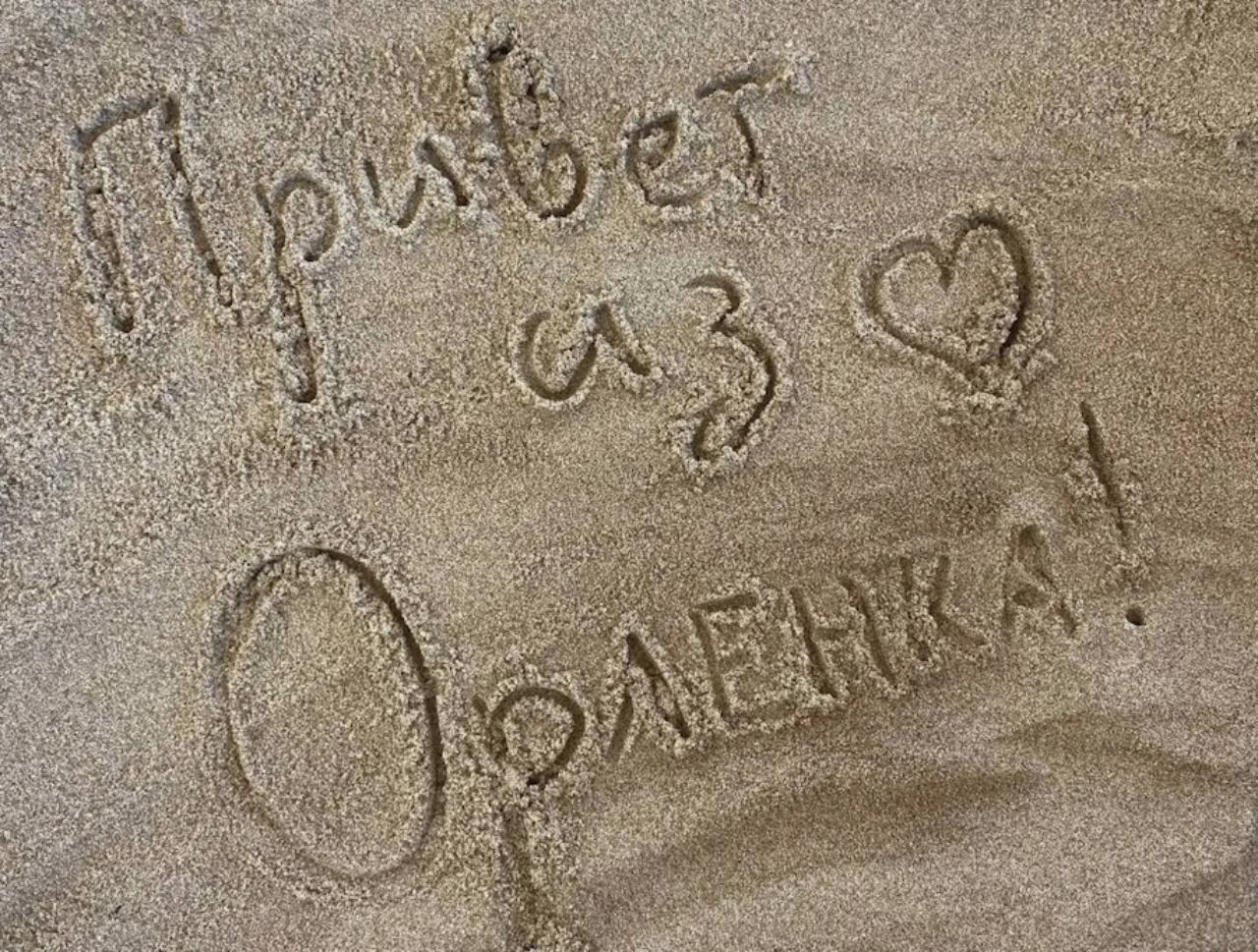 Юные мордовские лесничие вернулись из «Орлёнка» Юные мордовские лесничие вернулись из «Орлёнка»