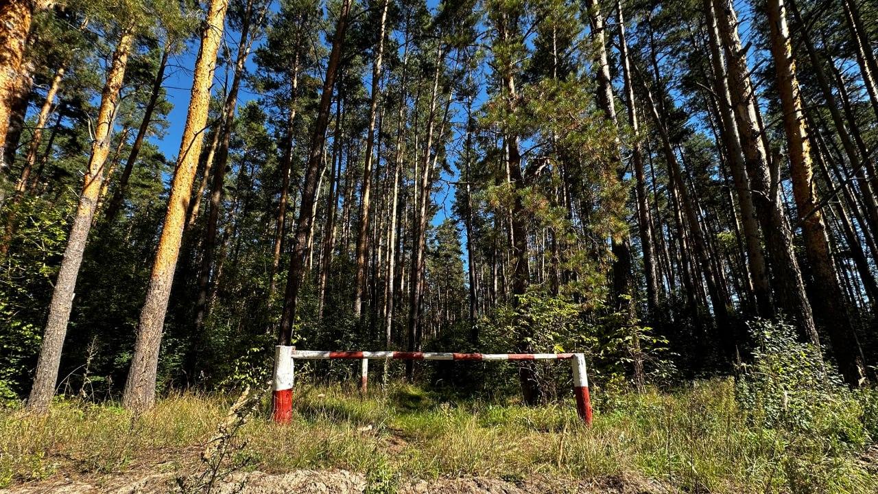 В Мордовии продлили запрет на посещение лесов из-за высокой пожароопасности В Мордовии продлили запрет на посещение лесов из-за высокой пожароопасности