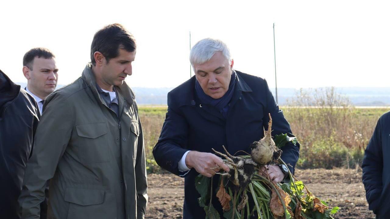 Мордовские аграрии прошли отметку в миллион тонн собранной сахарной свёклы 