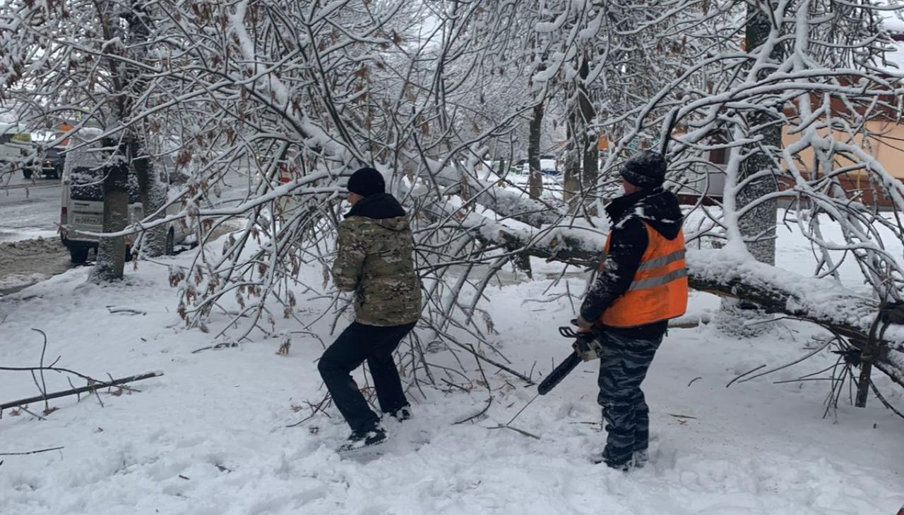 Саранск очищают от поваленных деревьев