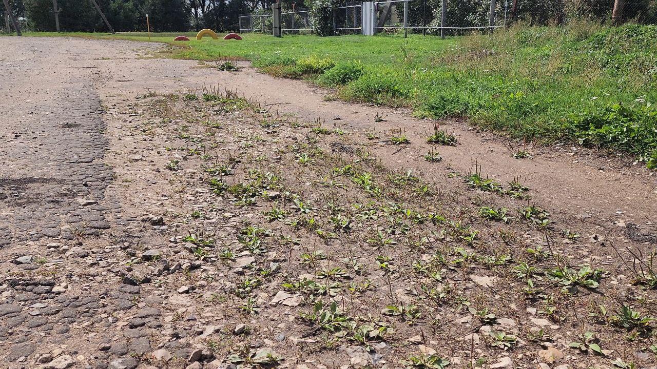 В Мордовии жители Аргамакова не дождались обещанного ремонта дорог В Мордовии жители Аргамакова не дождались обещанного ремонта дорог