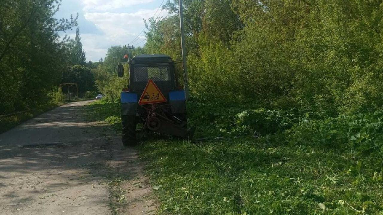 Коммунальные службы Саранска ведут борьбу с борщевиком Сосновского Коммунальные службы Саранска ведут борьбу с борщевиком Сосновского