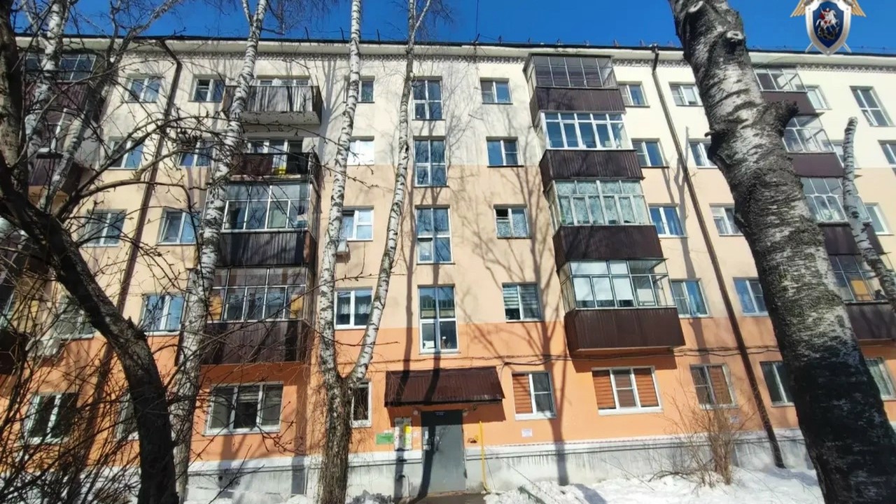 В Саранске обстоятельства гибели женщины под снежной глыбой выясняет Следственный комитет