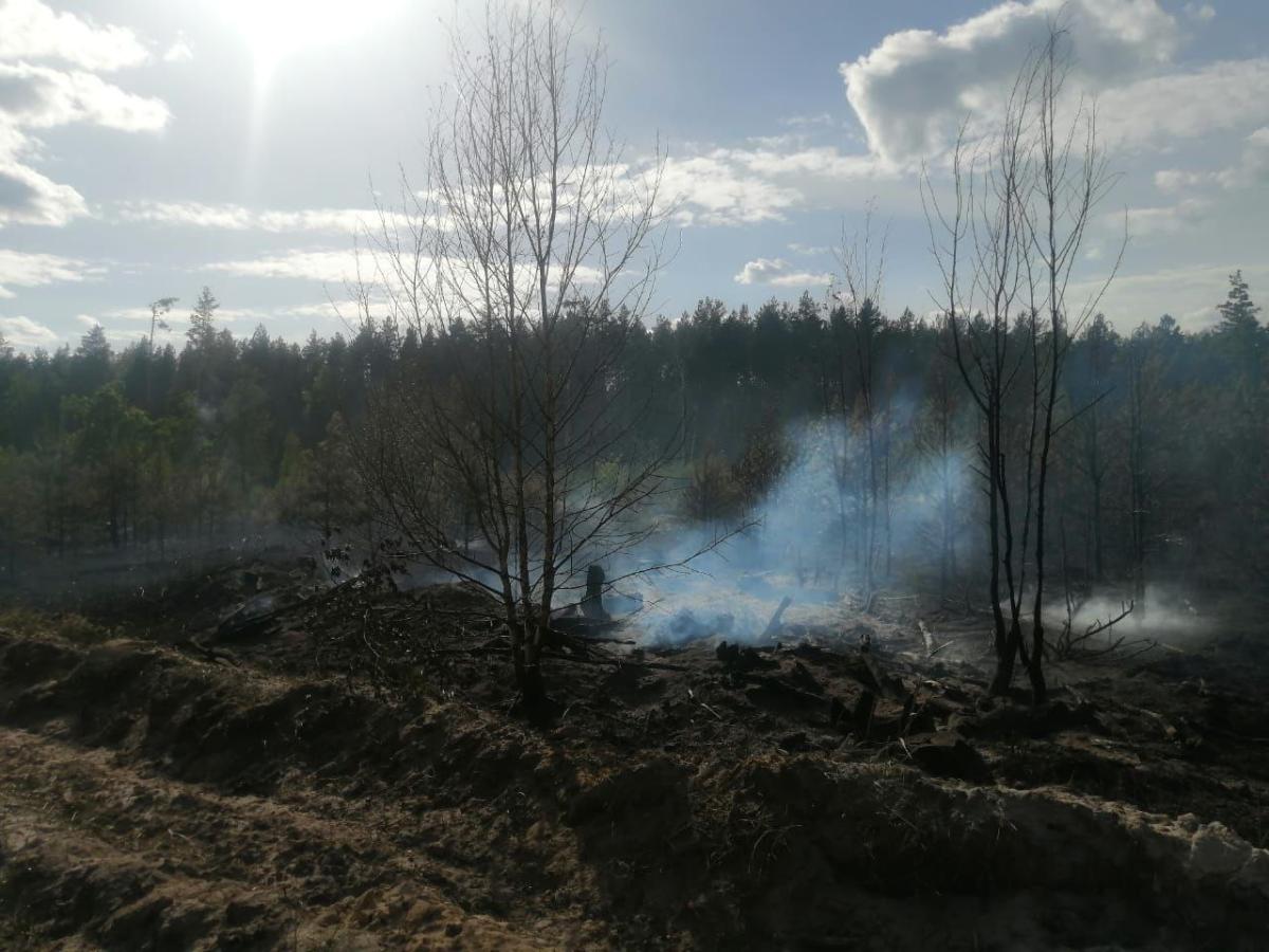 В Мордовии остановили лесной пожар
