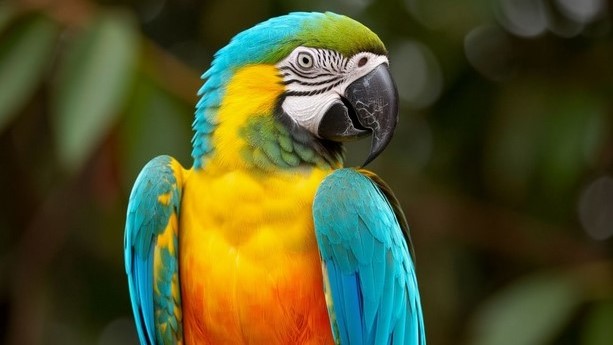 Жители Мордовии фотографировались с опасными обезьянами и попугаями