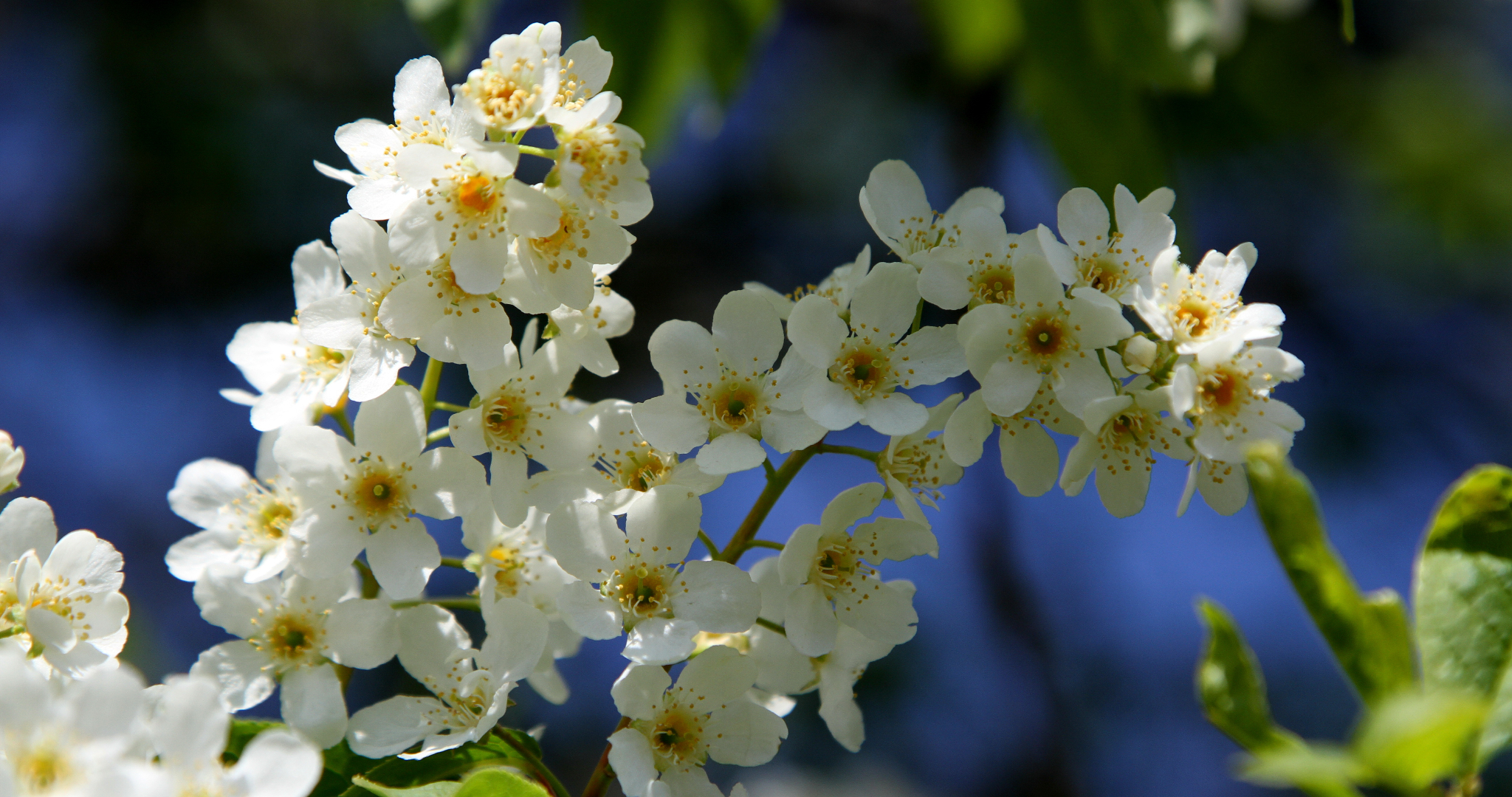 Майские праздники: россиянам напомнили о грядущих выходных 