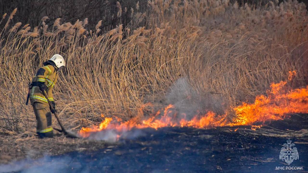 В последний день мая в Мордовии случилось 12 пожаров В последний день мая в Мордовии случилось 12 пожаров