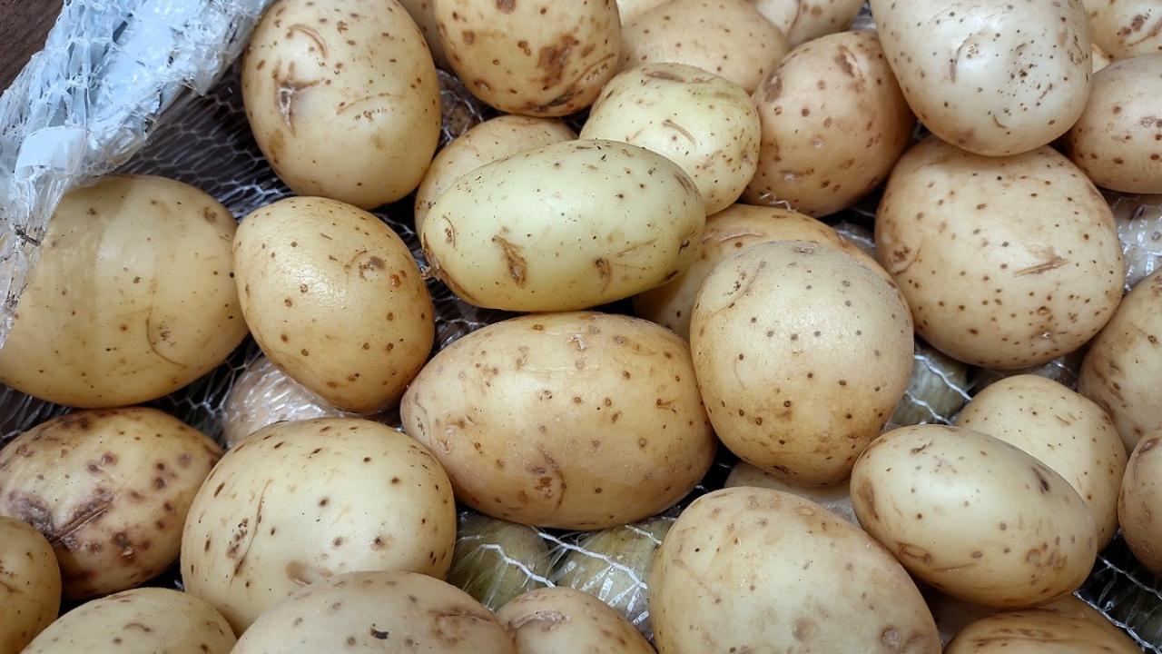 В Мордовии овощи дешевеют, обучение дорожает