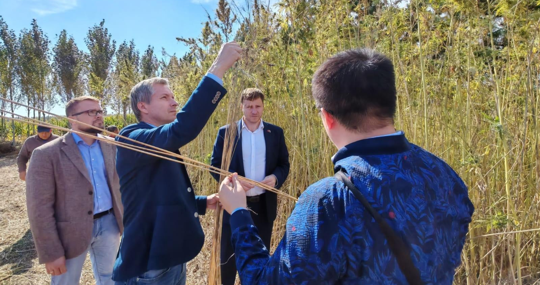 Мордовия и Китай вложились в коноплю на 120 миллионов рублей 