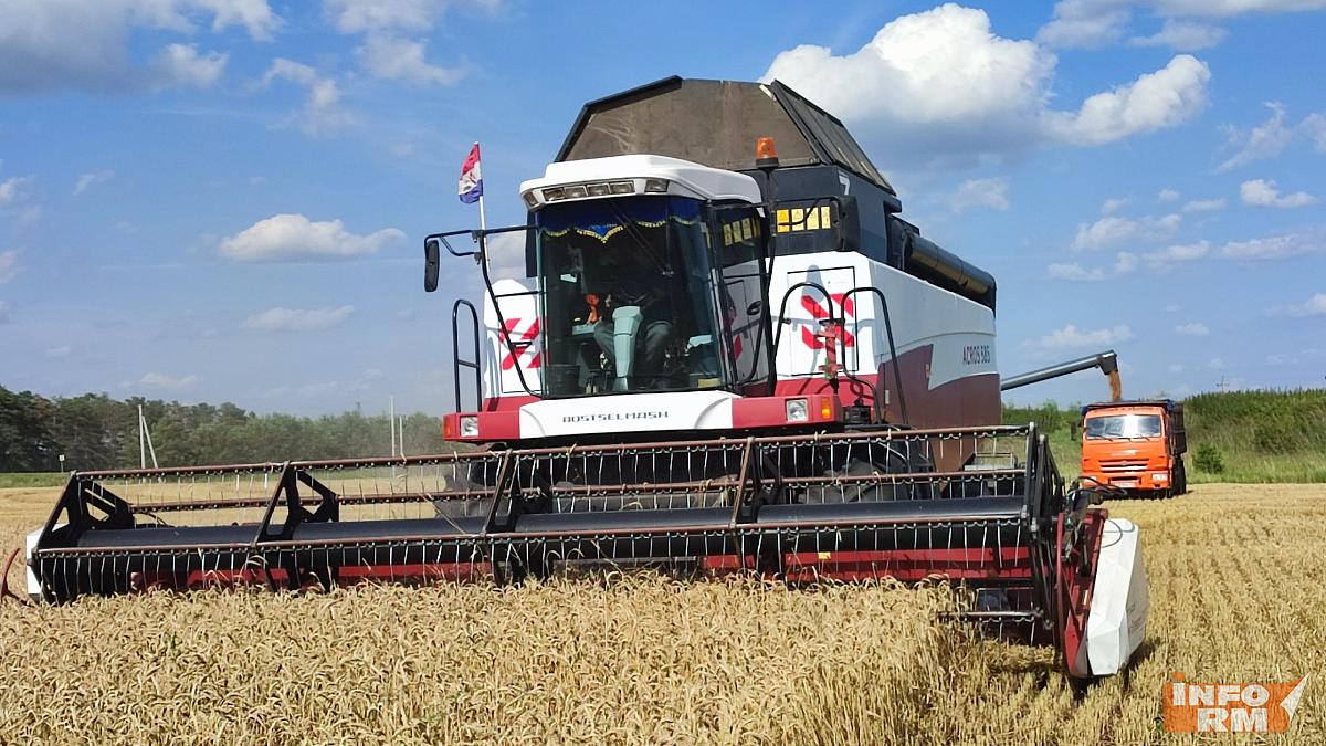 В Мордовии завершена уборка зелёного горошка В Мордовии завершена уборка зелёного горошка