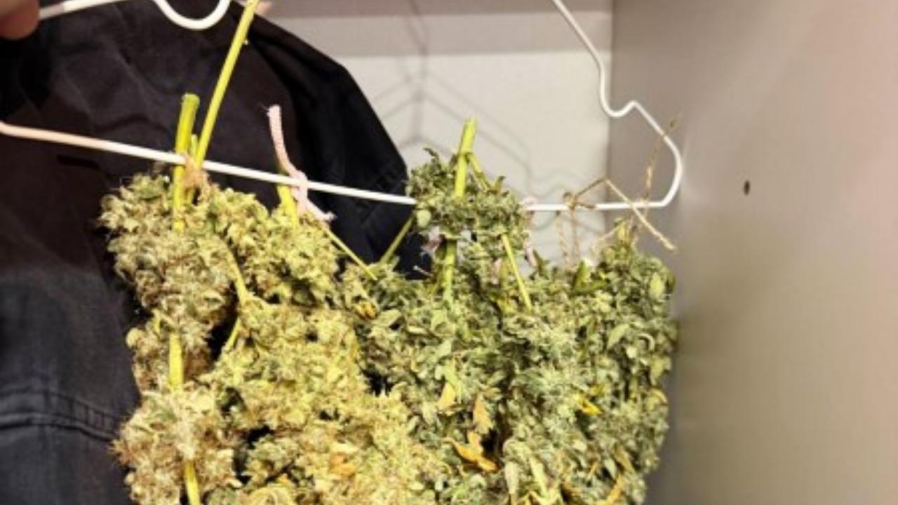 Житель Мордовии сушил коноплю на вешалке в шкафу