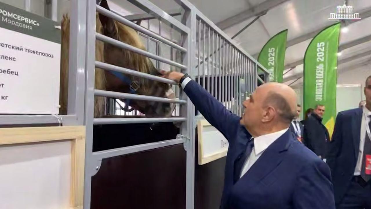 Михаил Мишустин не смог пройти мимо тяжеловоза Ролекса из Мордовии 