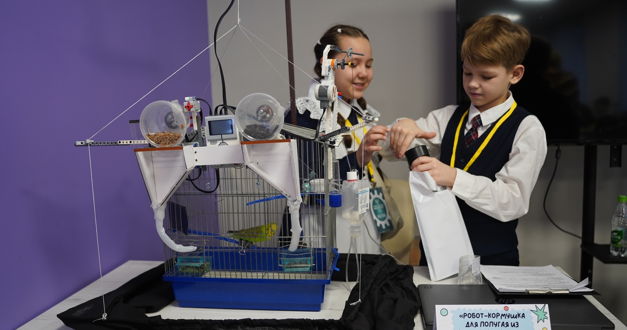 Больше 200 школьников в Мордовии боролись за звание лучшего робототехника 