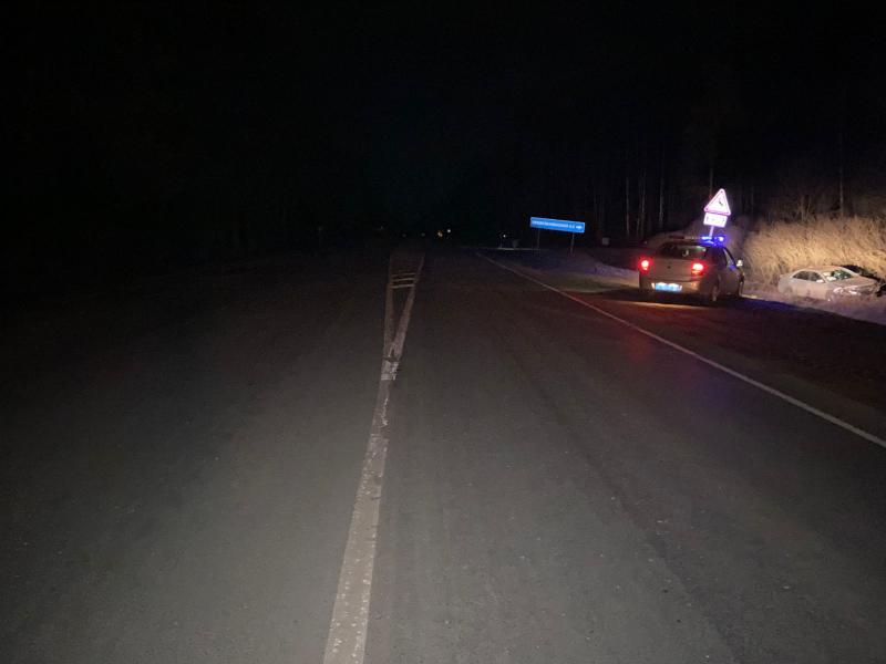 Водитель «Тойоты» съехал с трассы в Мордовии и получил травмы