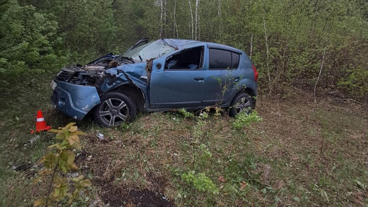 Пьяный водитель съехал в кювет в Саранске и травмировал юную пассажирку Пьяный водитель съехал в кювет в Саранске и травмировал юную пассажирку
