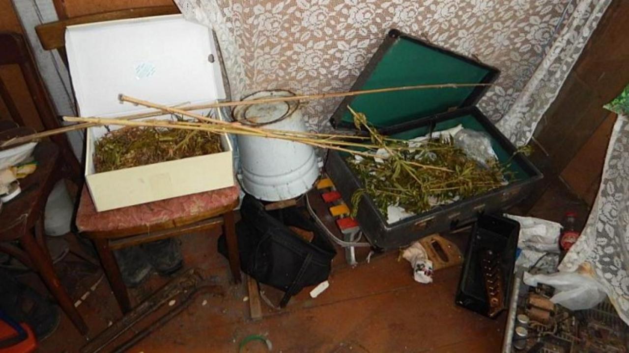 Жителя Мордовии осудили за чемодан с наркотиками