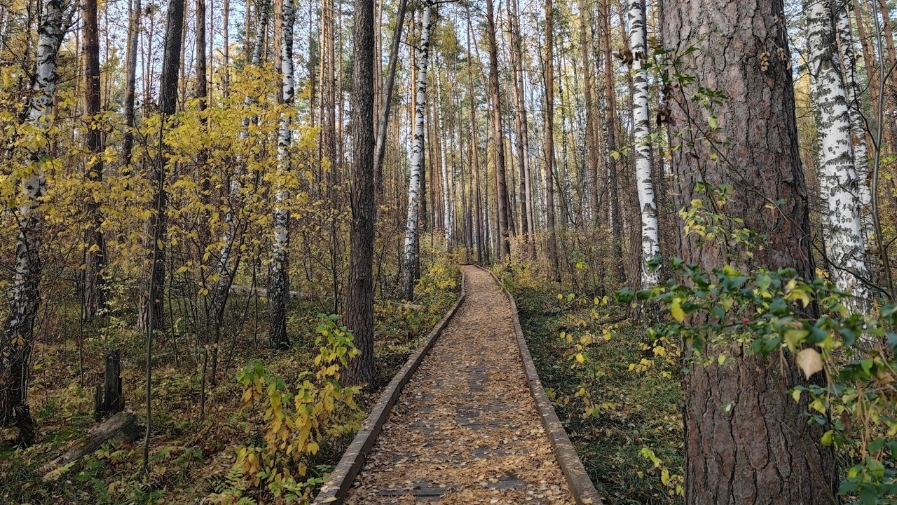 Жителей и гостей Мордовии предупредили о штрафах за поворот не туда  Жителей и гостей Мордовии предупредили о штрафах за поворот не туда