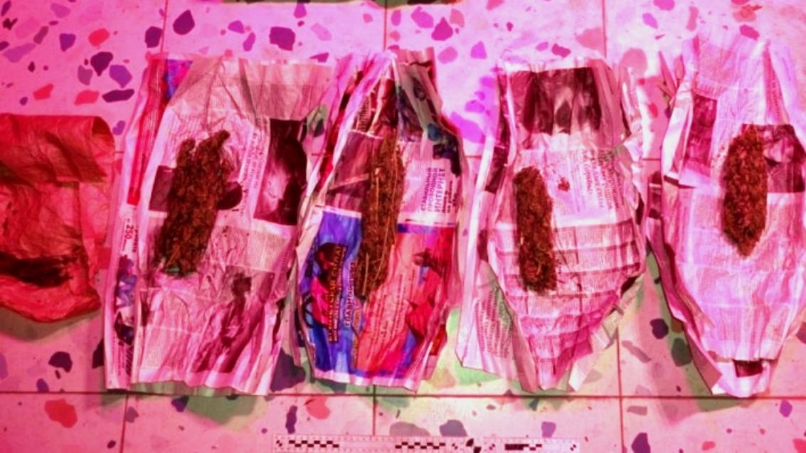 «Агроном» из Рузаевки выслушал приговор за выращивание конопли дома