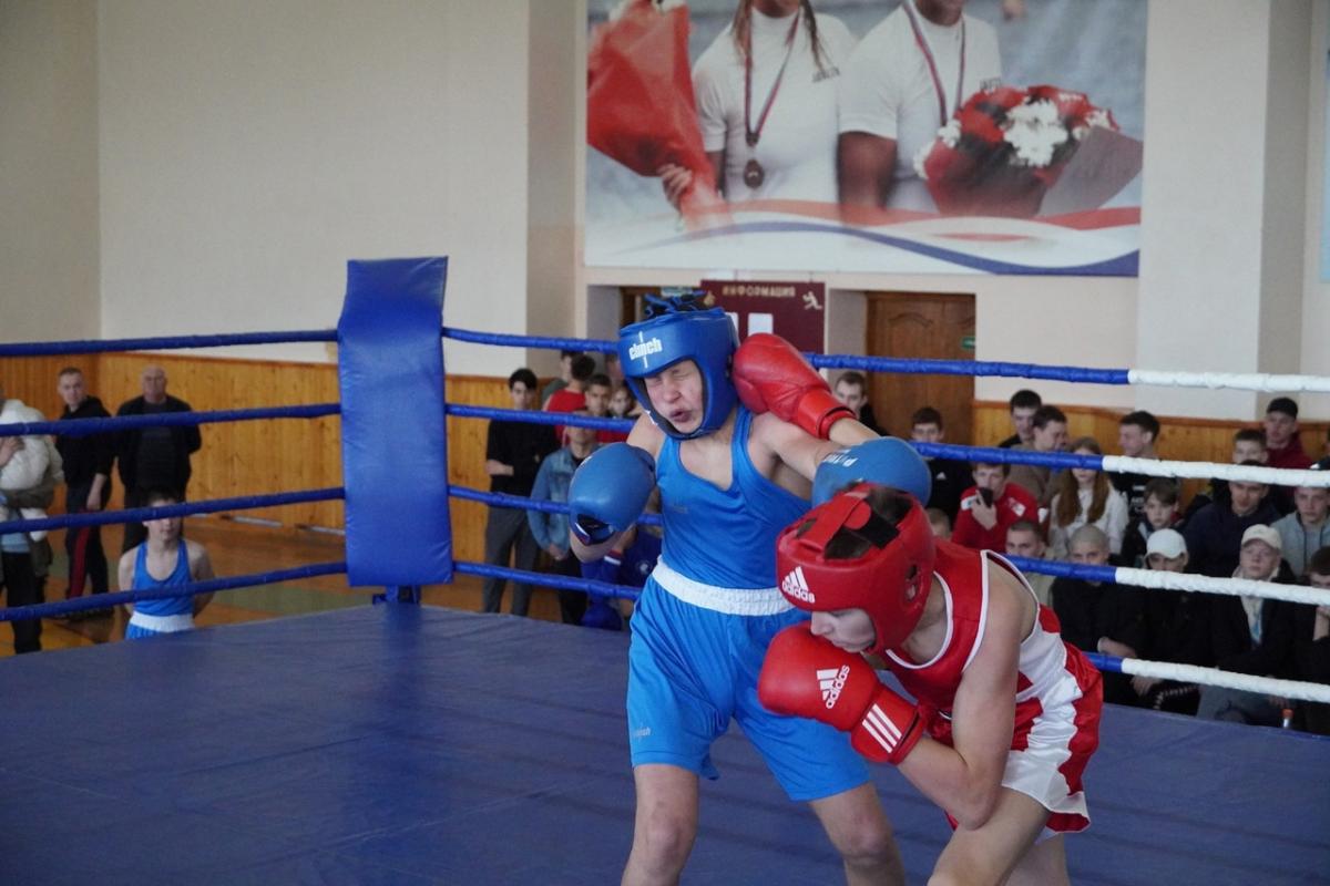 Турнир по боксу, посвященный Дню Победы, прошел в Мордовии