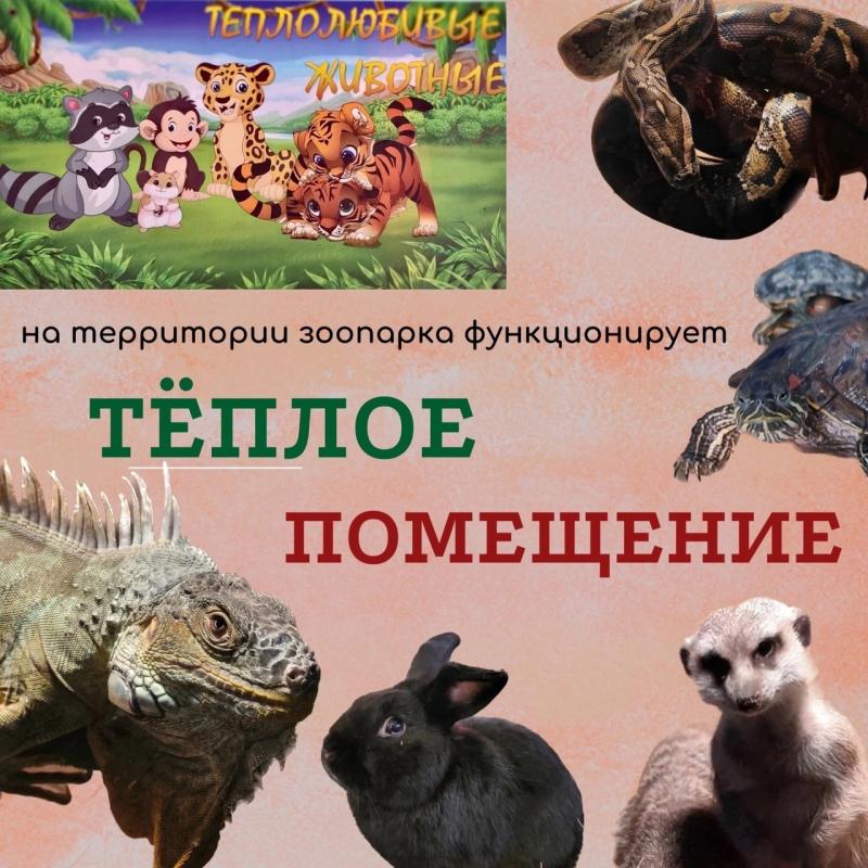 Зоопарк Саранска перешел на весенний режим работы