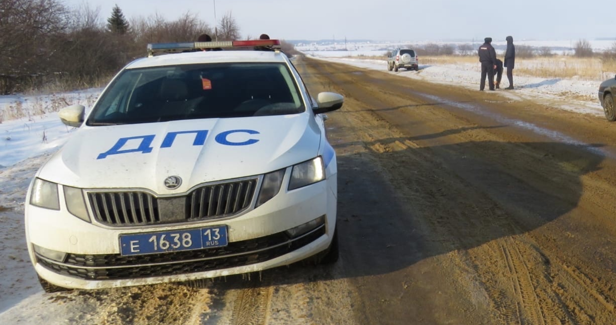 Двух замерзающих пензенцев спасли на трассе в Мордовии 