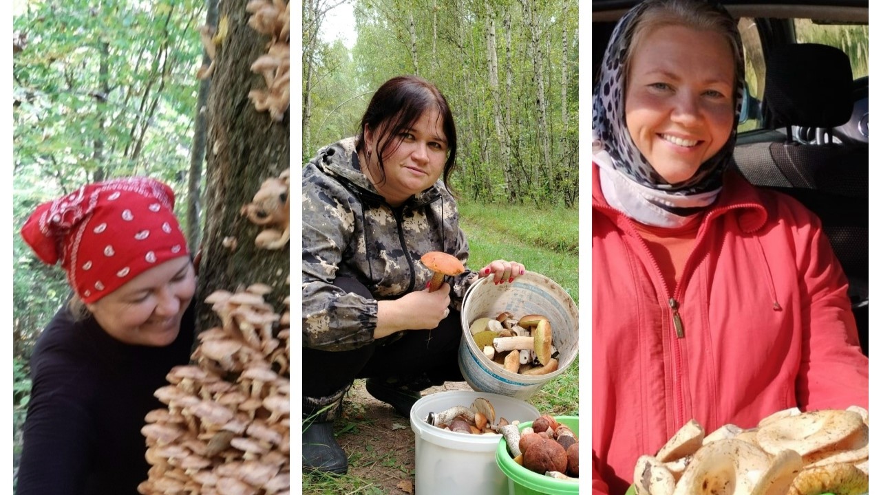 В Мордовии наградят самых фотогеничных грибников