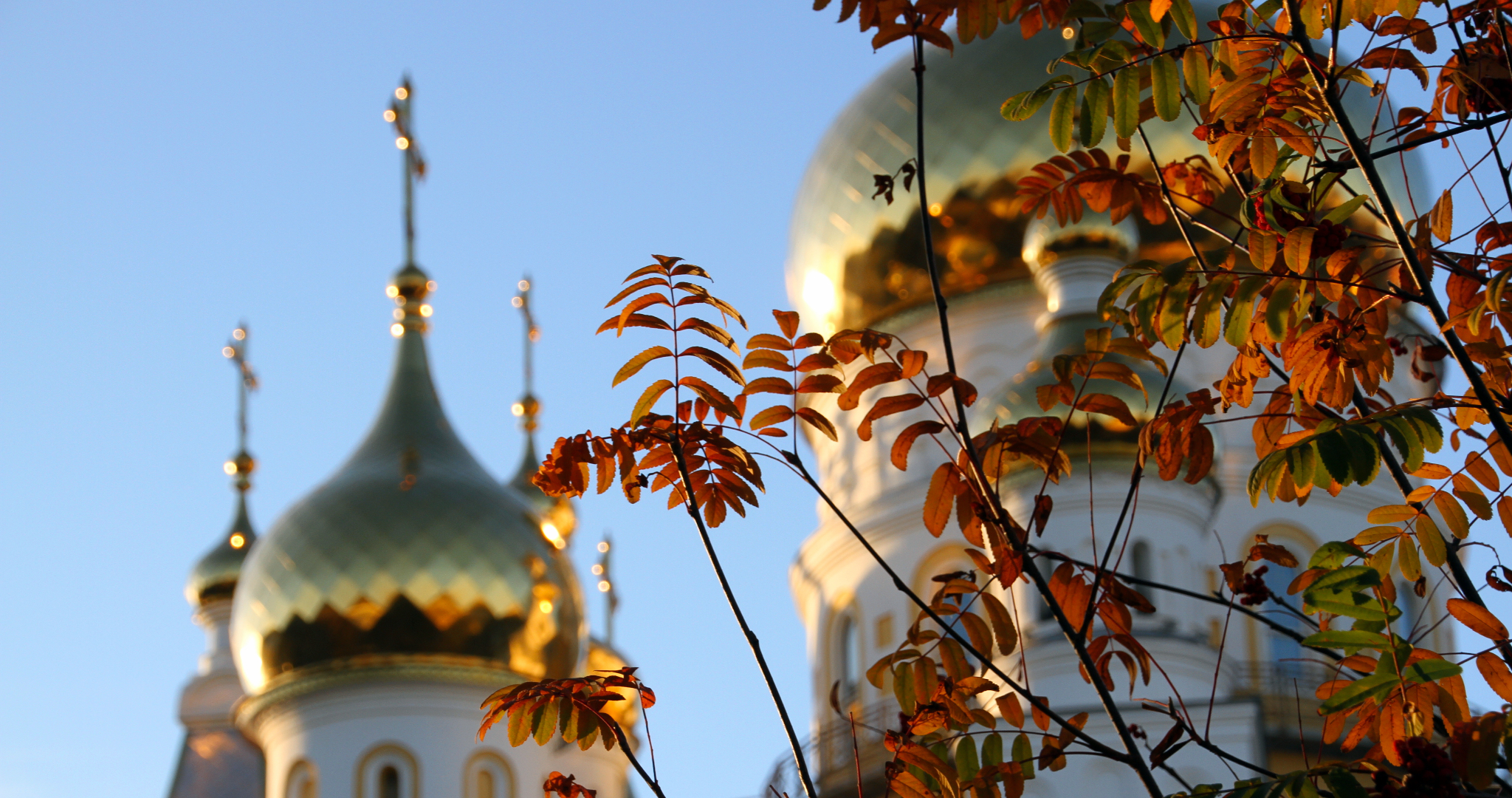 Пасхальный кулич: россиянам посоветовали не заниматься готовкой на праздник 