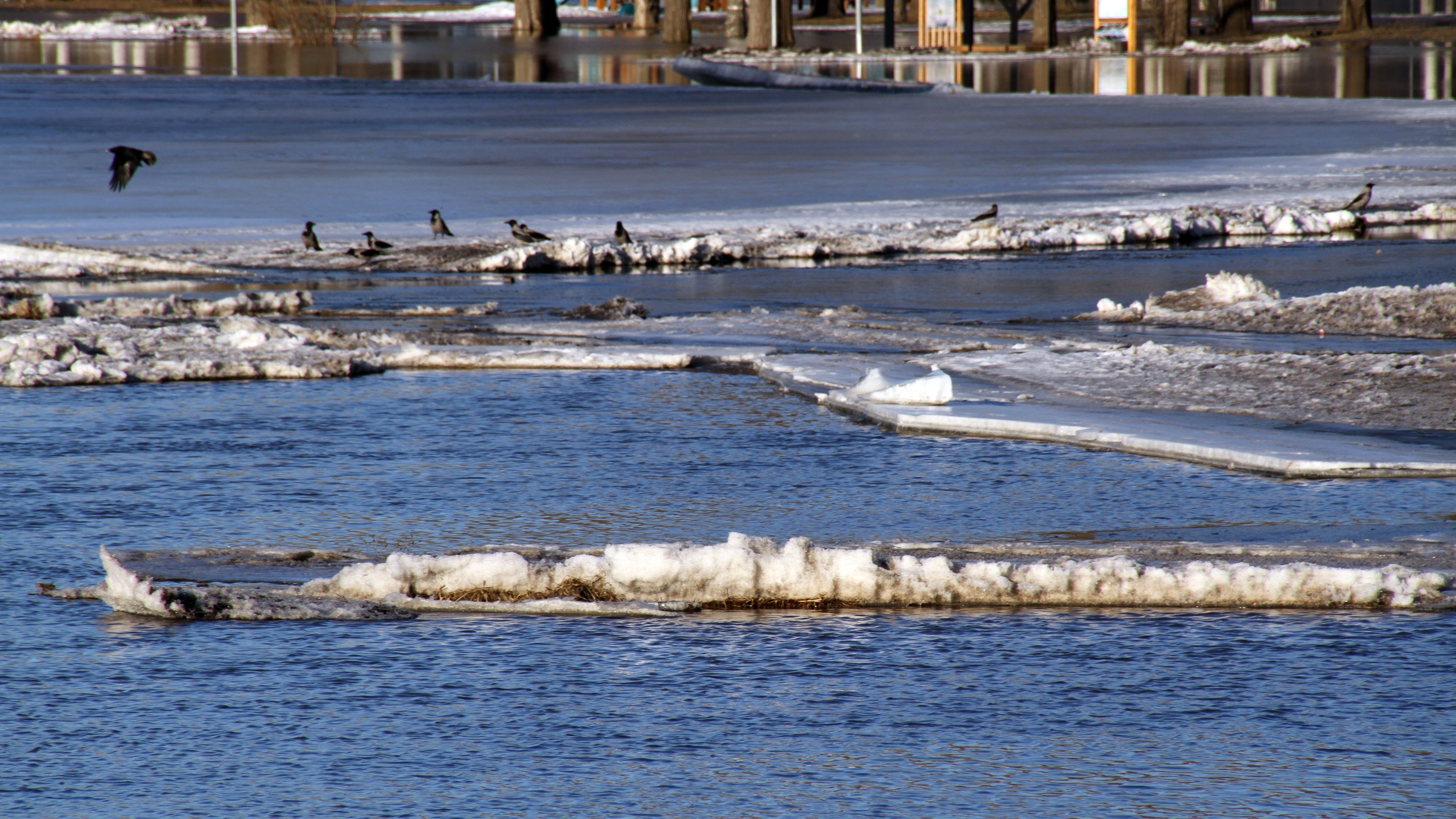 Погода в Мордовии берёт курс на весну