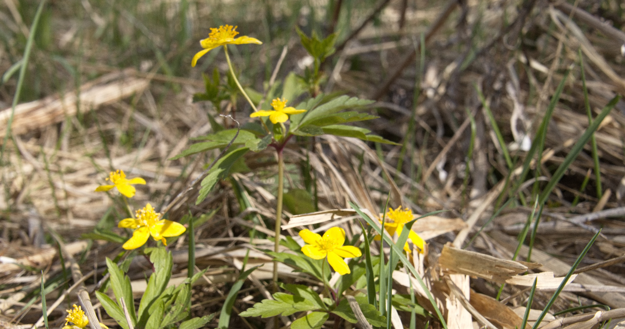 Синоптики предупреждают, что весна в 2026 году будет поздней 