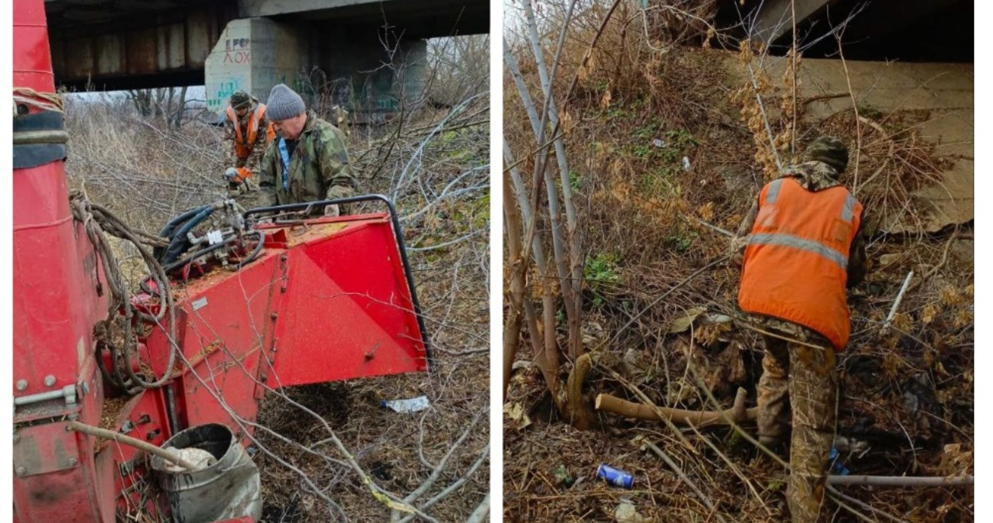 От американского клёна в Рузаевке очистили ещё несколько улиц 