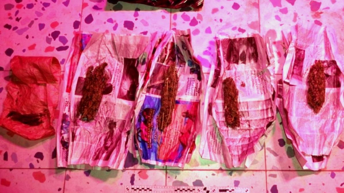 «Агроном» из Рузаевки выслушал приговор за выращивание конопли дома