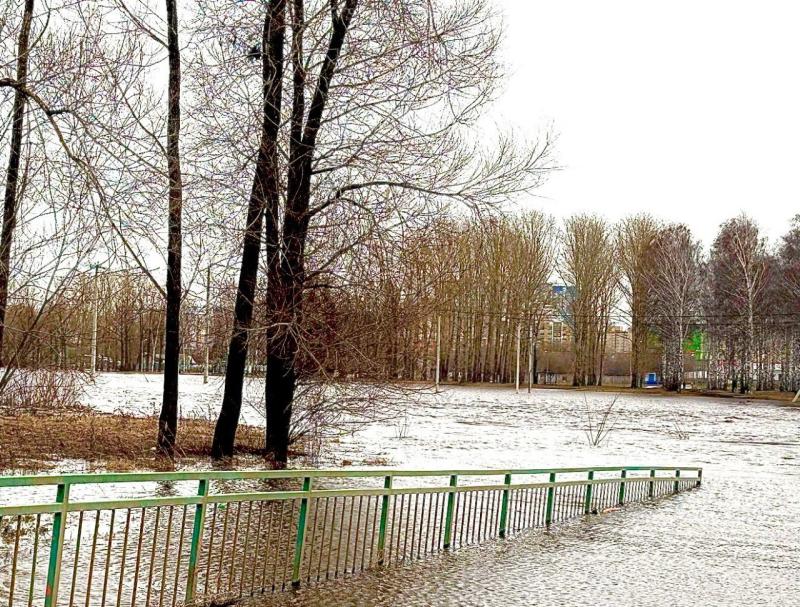 В Саранске и окрестностях затоплены несколько приусадебных участков