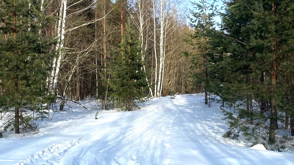 В Мордовии считают охотничьи ресурсы