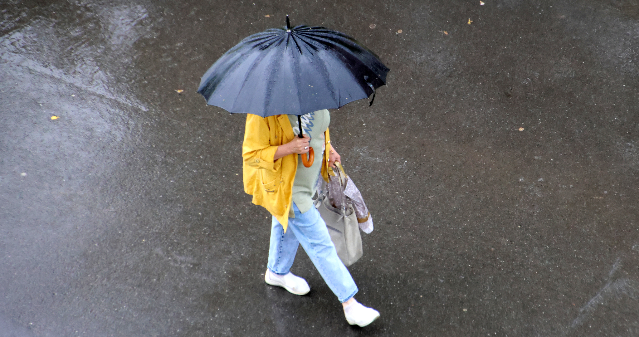 Заморозки, снег и ветер до 20 м/с: Гидрометцентр предупреждает об ухудшении погоды 